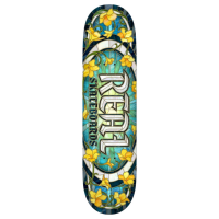 REAL TEAM OVAL CATHEDRAL 8.25" TAVOLA SKATEBOARD