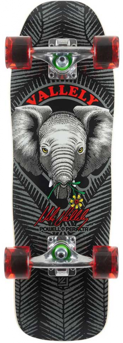 POWELL PERALTA VALLEY 26