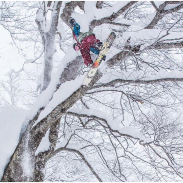 CAPITA KAZU KOKUBO PRO TAVOLA SNOWBOARD