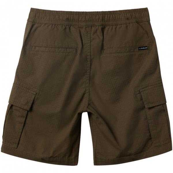 QUIKSILVER TAXER CARGO GRAPE LEAF SHORTS BAMBINO